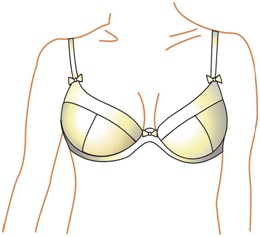 A Guide to Picking the Right Bra for Your Particular Shape and Style