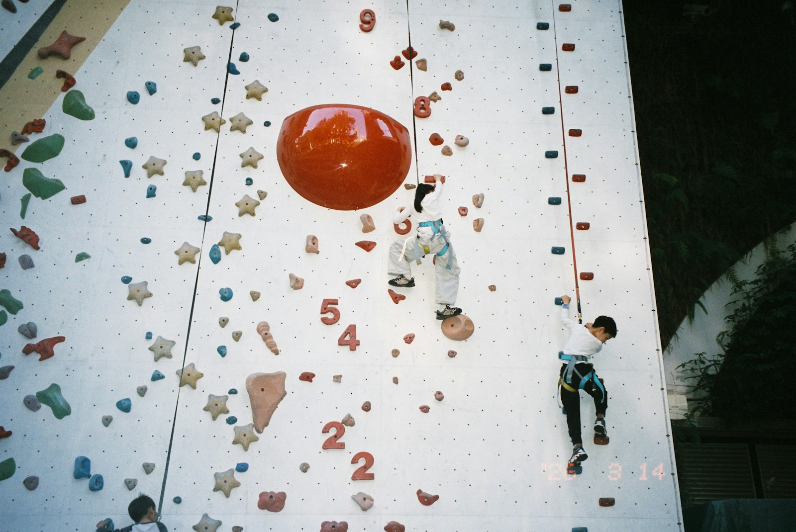Children climbing a colourful indoor rock wall, as at a climbing wall party