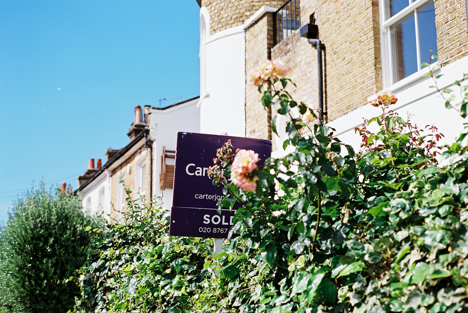Sold sign and roses in front of a house after a property sale