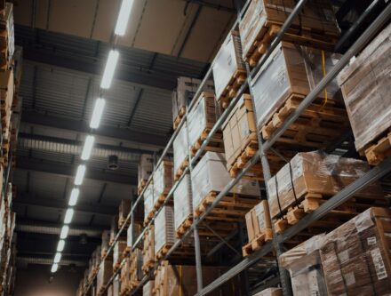 Brown cardboard boxes stored on a white metal rack, raised off the floor