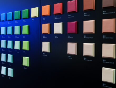 Wall covered in square paint samples of many colours, for comparing undertones