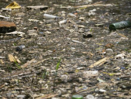 Rubbish and plastic debris floating on the surface of a polluted river