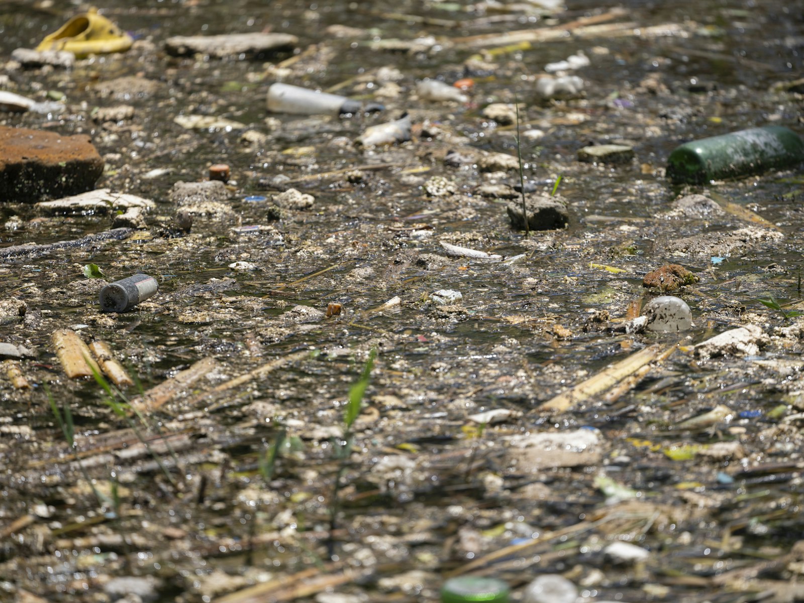 Rubbish and plastic debris floating on the surface of a polluted river