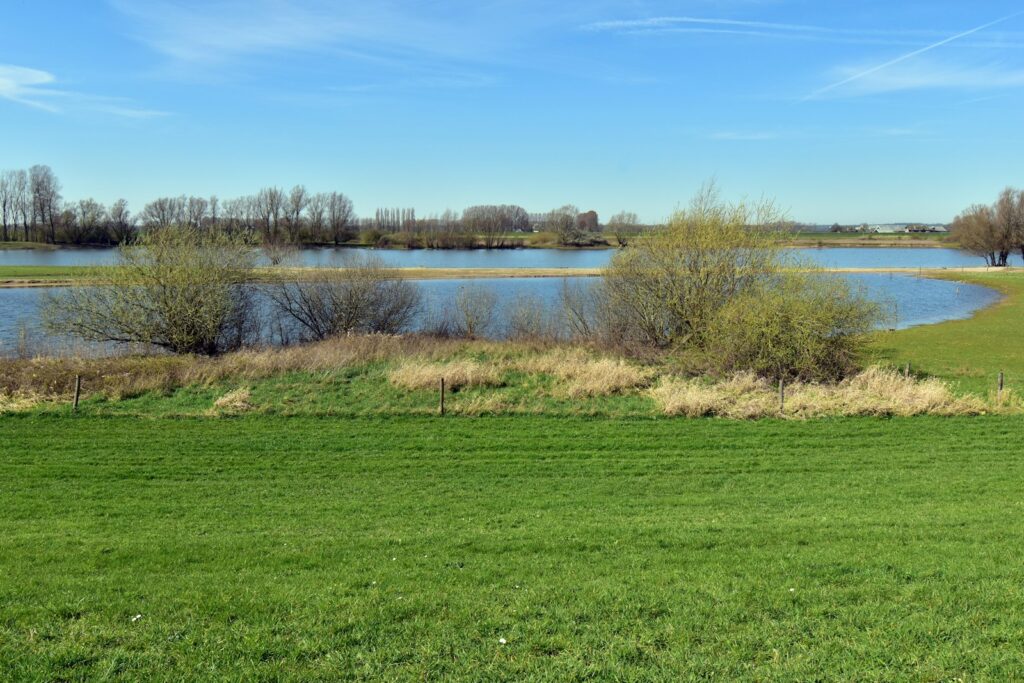 Grassy floodplain field beside a river, where water levels shift through the seasons