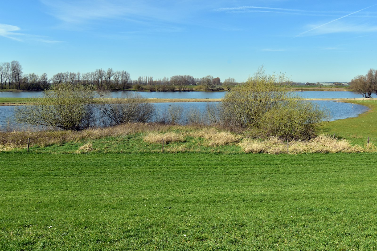 Grassy floodplain field beside a river, where water levels shift through the seasons